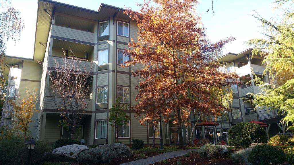 Plaza Inn & Suites At Ashland Creek Eksteriør bilde